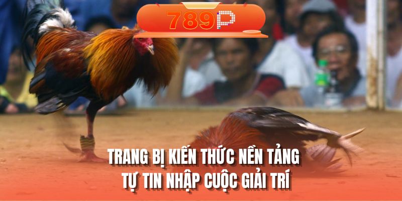 Trang bị kiến thức nền tảng tự tin nhập cuộc giải trí